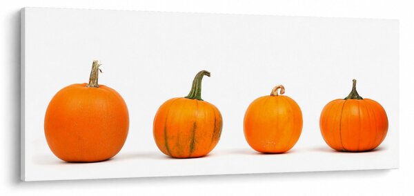 Sütőtök képe (120x50 cm)