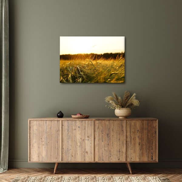 Harmatos fű képe (70x50 cm)
