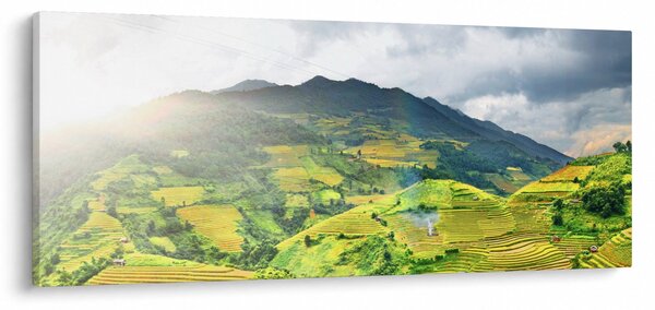 Ültetvények képe (120x50 cm)