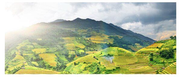 Ültetvények képe (120x50 cm)