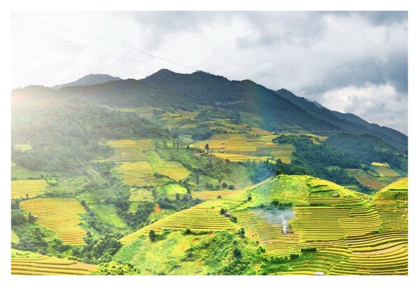 Ültetvények képe (90x60 cm)