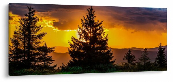Kép - tűlevelűek (120x50 cm)