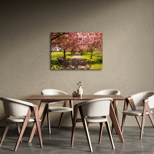 Kép - cseresznye ültetvény (70x50 cm)