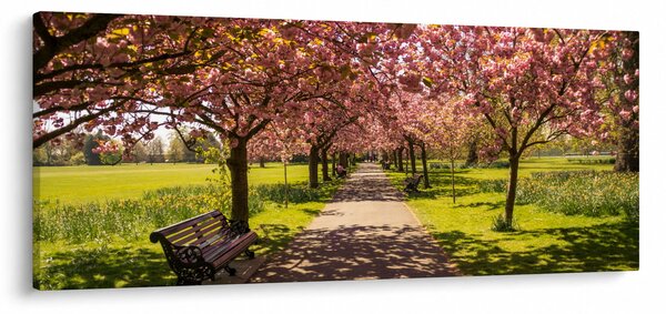 Kép - cseresznye ültetvény (120x50 cm)