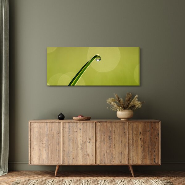 Víz csepp a fűben képe (120x50 cm)