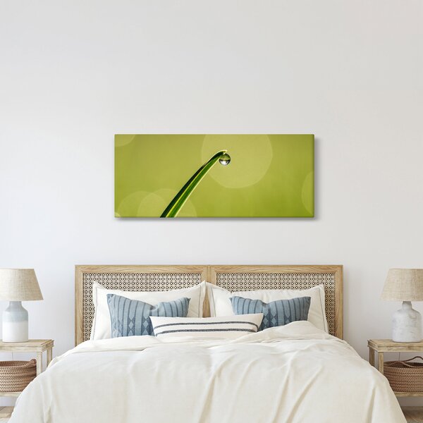 Víz csepp a fűben képe (120x50 cm)