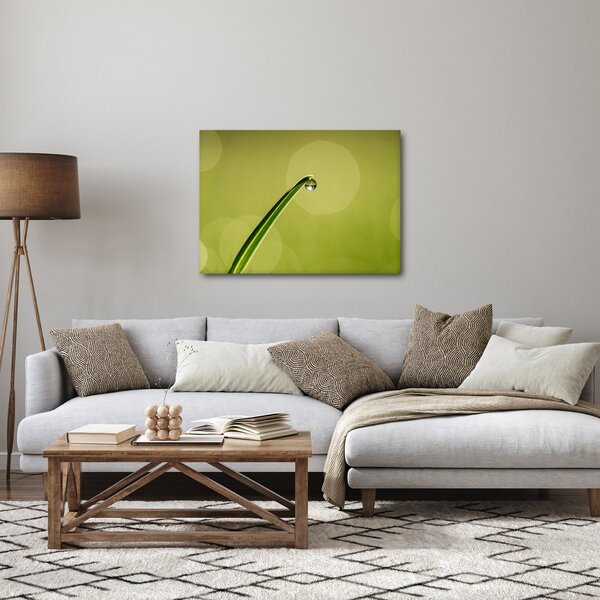 Víz csepp a fűben képe (70x50 cm)