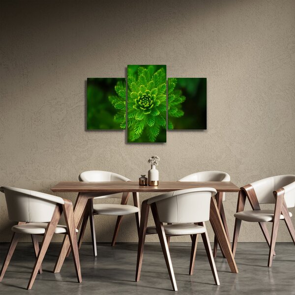 Tűlevelű képé (90x60 cm)