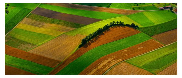 Kép - Mezők, rétek (120x50 cm)
