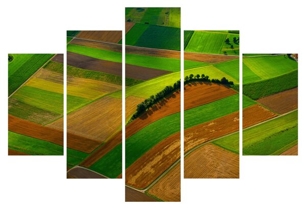 Kép - Mezők, rétek (150x105 cm)