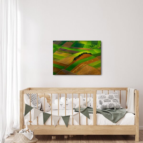 Kép - Mezők, rétek (70x50 cm)