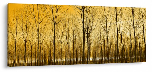 Kép - Faültetvény (120x50 cm)