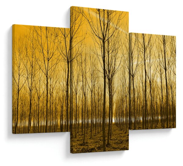 Kép - Faültetvény (90x60 cm)