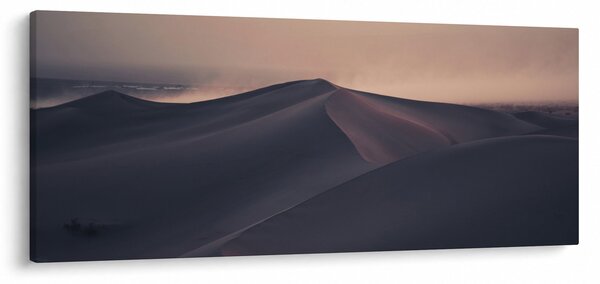 Kép - Homokdűnék (120x50 cm)