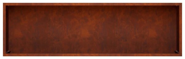 Kerti cserép Rozsdás 100 x 20 x 49 cm Időjárásálló Acél