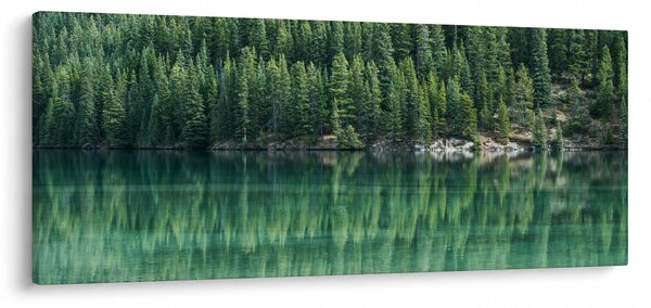 Kép - Tűlevelű a tónál (120x50 cm)