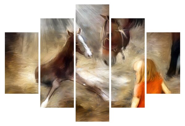 Kép - Üdvözöljük a világban, csikó (150x105 cm)