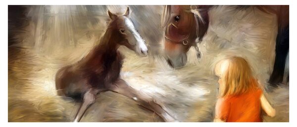 Kép - Üdvözöljük a világban, csikó (120x50 cm)