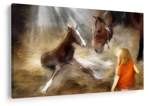 Kép - Üdvözöljük a világban, csikó (90x60 cm)