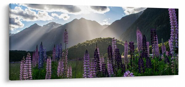 Kép - Csillagfürt táj (120x50 cm)