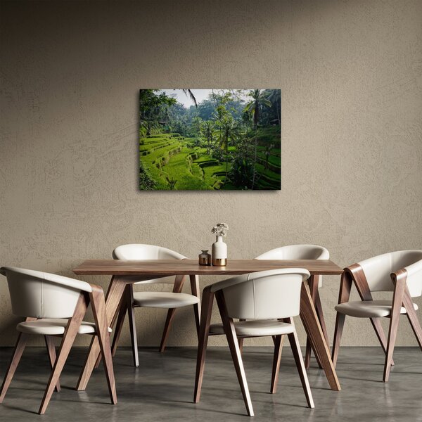 Kép a rizs teraszokról, Tegalalang, Bal (70x50 cm)