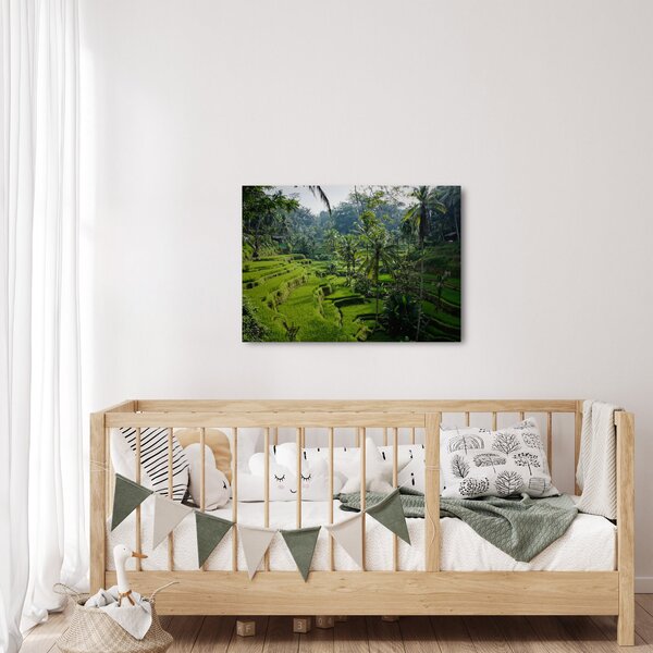 Kép a rizs teraszokról, Tegalalang, Bal (70x50 cm)