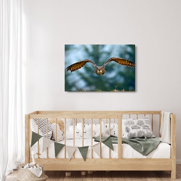Kép - Bagoly repülés közben (90x60 cm)
