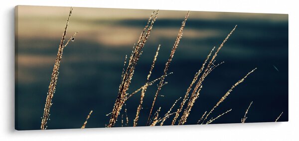 A füvek képe (120x50 cm)