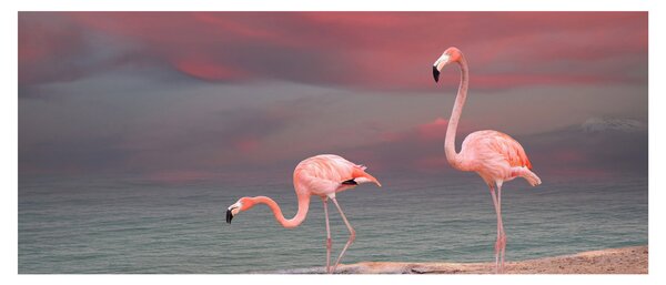 Flamingók képe (120x50 cm)