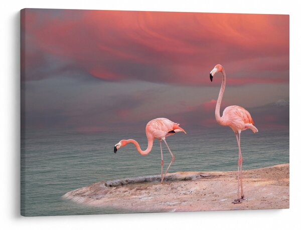 Flamingók képe (70x50 cm)