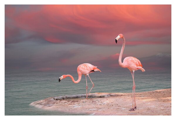 Flamingók képe (90x60 cm)
