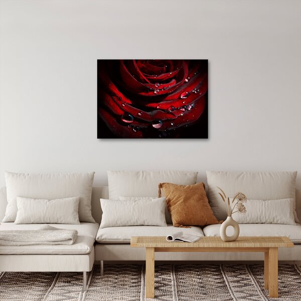Kép - Rózsa részlete (70x50 cm)