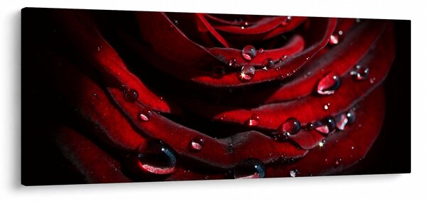 Kép - Rózsa részlete (120x50 cm)