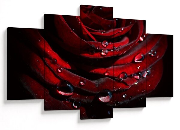 Kép - Rózsa részlete (150x105 cm)