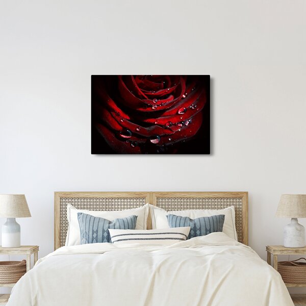 Kép - Rózsa részlete (90x60 cm)