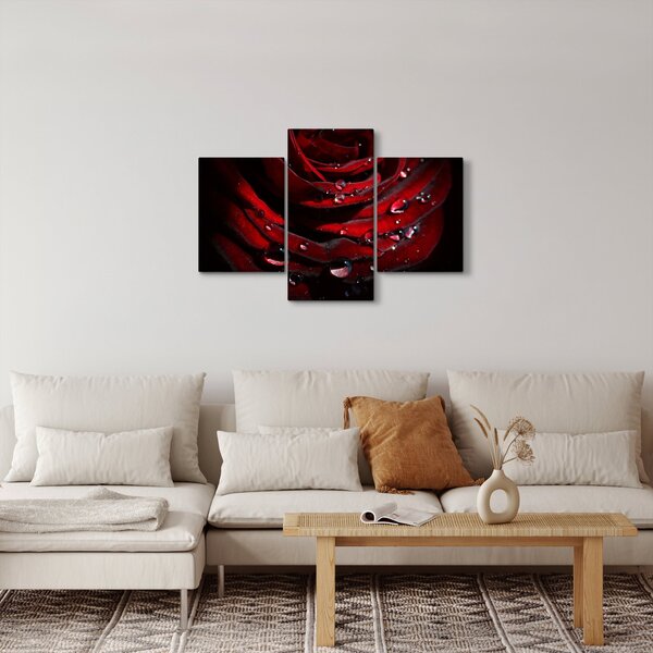 Kép - Rózsa részlete (90x60 cm)