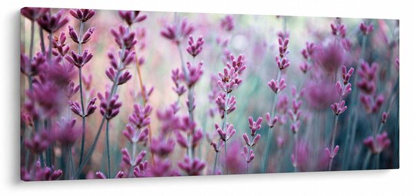 Kép - Levendula (120x50 cm)