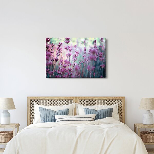 Kép - Levendula (90x60 cm)