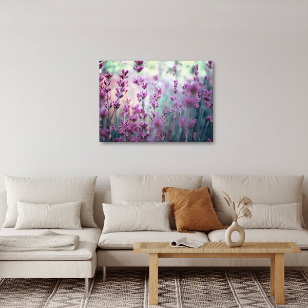 Kép - Levendula (70x50 cm)
