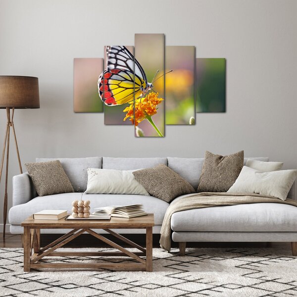 Egy pillangó képe a virágon (150x105 cm)