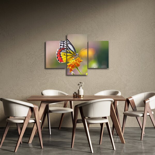 Egy pillangó képe a virágon (90x60 cm)