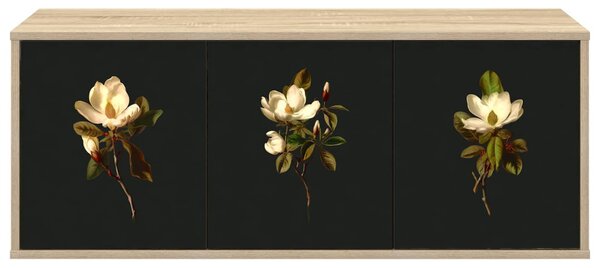 Falsítható TV Szekrény BREMEN 102 x 33 x 40 cm Sonoma Tölgy