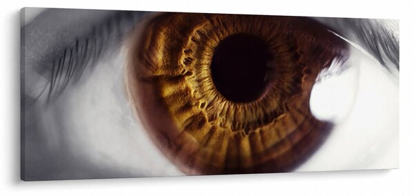 Kép - Szem (120x50 cm)