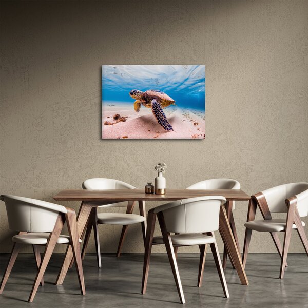 Teknős képe az óceánban (70x50 cm)