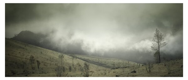A vihar előtti táj képe (120x50 cm)