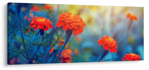 Kép - Narancssárga virágok (120x50 cm)