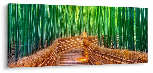 Kép - Japán bambusz erdő (120x50 cm)