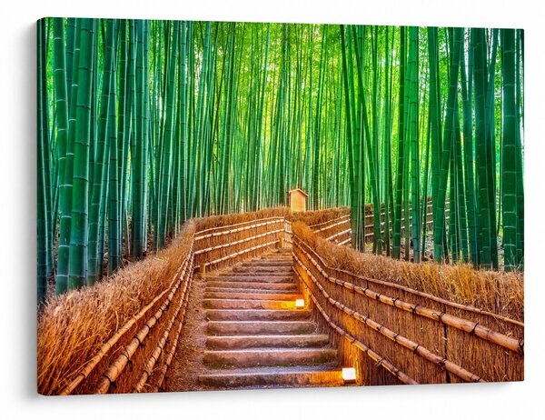 Kép - Japán bambusz erdő (70x50 cm)