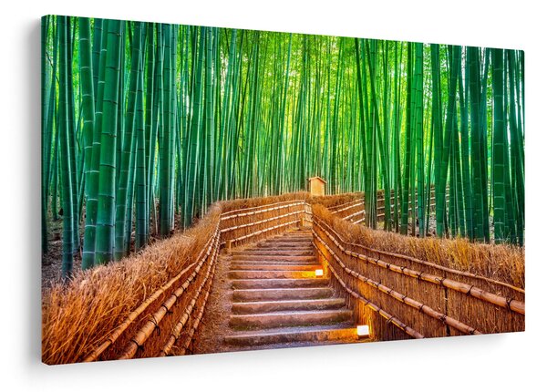 Kép - Japán bambusz erdő (90x60 cm)