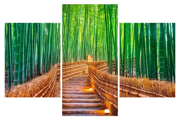 Kép - Japán bambusz erdő (90x60 cm)